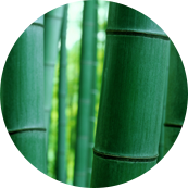 Nantong Tianhong Technology Technology Co., Ltd.