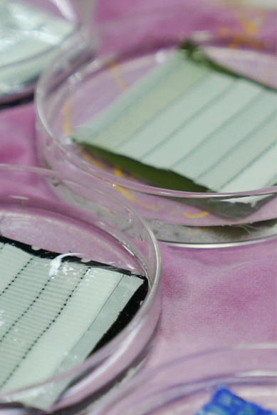 Nantong Tianhong Technology Technology Co., Ltd.