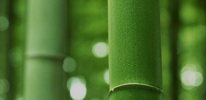 Nantong Tianhong Technology Technology Co., Ltd.